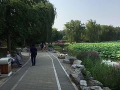 -圆明园停车场