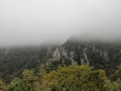 -王顺山国家森林公园