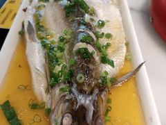 -京城小江南·北京烤鸭·江南土菜·白鱼(中关村店)