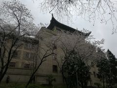 -武汉大学-樱园