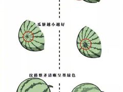-胖东来生活广场(健康路店)