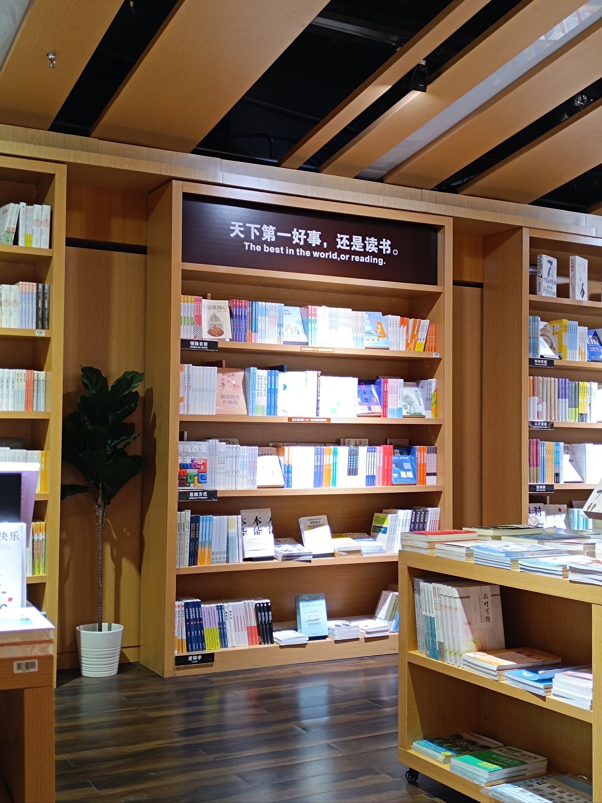 这10年到底在干嘛