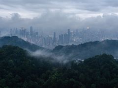 -大金鹰园
