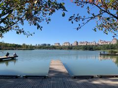 -马家湾湿地公园