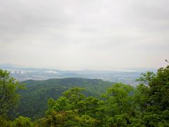 -惠山国家森林公园