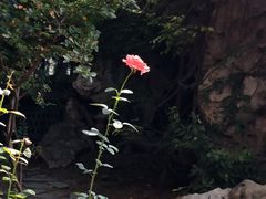 -李叔同故居纪念馆