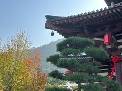 -华清宫景区
