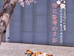 -龙美术馆(西岸馆)