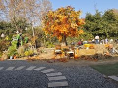 -HERRE·FARM 赫尔露营农场·团建聚会包场