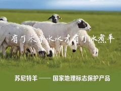 -毛辣果·贵州红酸汤牛肉火锅(西单店)