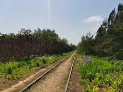 -永定河休闲森林公园
