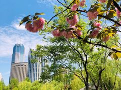 -新虹桥中心花园