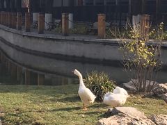 -中央戏剧学院(东城校区)