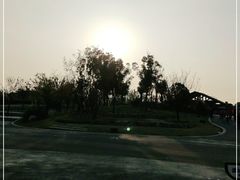 -盘龙城国家考古遗址公园