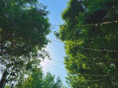 -巴伐利亚啤酒坊(意式风情街店)