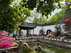 -上海醉白池公园