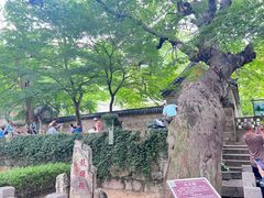 -青岛崂山太清宫
