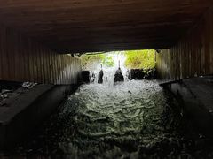 -长谷洞天