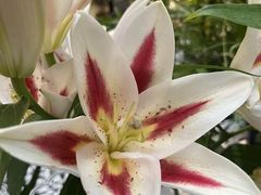 -狮拾久·现代新加坡料理(壹方城店)