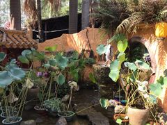 -园林美食城·本土农家菜(杨和镇店)