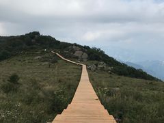 -白草畔自然风景区