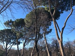 -丽池公园