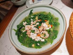 上汤桑叶苗-大榕树下顺德菜(融创茂店)