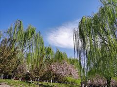 -元大都城垣遗址公园