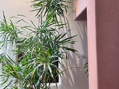 -北京老铺烤鸭(第五国际店)