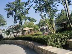 -成飞公园
