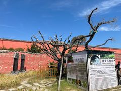 -兴城海滨风景区