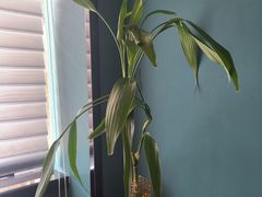 -Together·泰式按摩精油SPA(天山店)