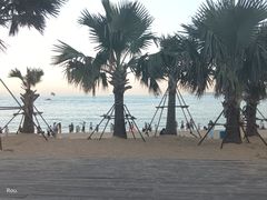 -大梅沙海滨公园