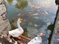 -苏州碑刻博物馆