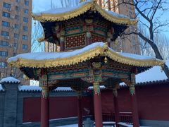-护国法轮寺