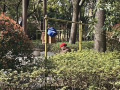 -徐家汇源景区-衡山公园