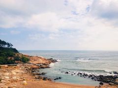 -广东惠东海龟国家级自然保护区