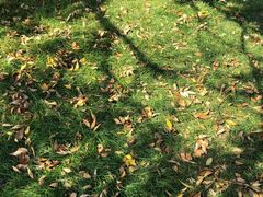 -川香煲(茅台路店)