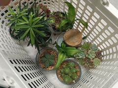 -鹿岛生活(熙地港店)