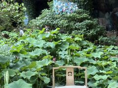 -花之城