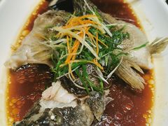 -沙田轩(古北店)