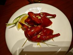 -觅唐MITONG(鸟巢店)