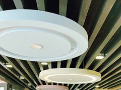 -鸡鸣汤包(红山动物园店)