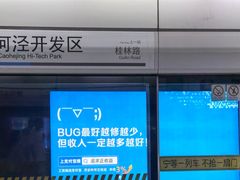 -漕河泾开发区(地铁站)