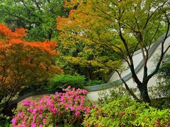 -岳麓山风景名胜区