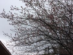 -庐山天沐温泉度假村