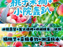 -上海山野camping·户外天幕烧烤·团建拓展营地