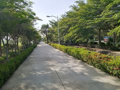 -亚龙湾国际玫瑰谷