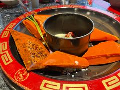 -蜀辣居鲜货老火锅(双流万达店)