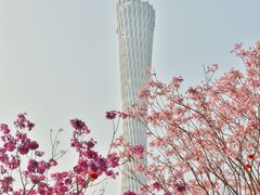 -海心沙亚运公园